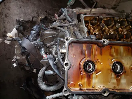 Двигатель матор каробка 3MZ-FE 3.3 л за 600 000 тг. в Алматы – фото 32