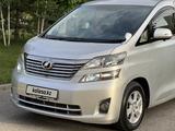 Toyota Vellfire 2012 годаүшін10 700 000 тг. в Шымкент – фото 2