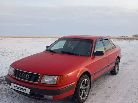 Audi 100 1991 года за 2 000 000 тг. в Пресновка