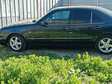 Mercedes-Benz E 280 1999 года за 3 000 000 тг. в Алматы – фото 4