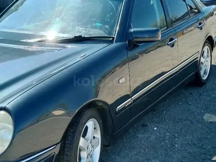 Mercedes-Benz E 280 1999 года за 3 000 000 тг. в Алматы – фото 5