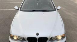 BMW 525 2002 годаүшін5 000 000 тг. в Шымкент – фото 4