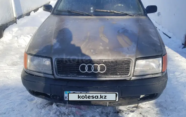 Audi 100 1992 года за 1 000 000 тг. в Талдыкорган