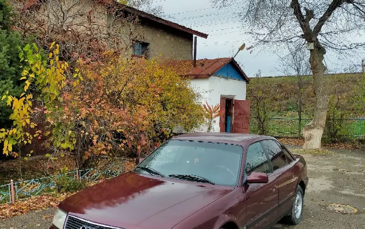 Audi 100 1993 годаүшін2 050 000 тг. в Тараз