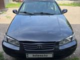 Toyota Camry 1998 года за 3 400 000 тг. в Алматы