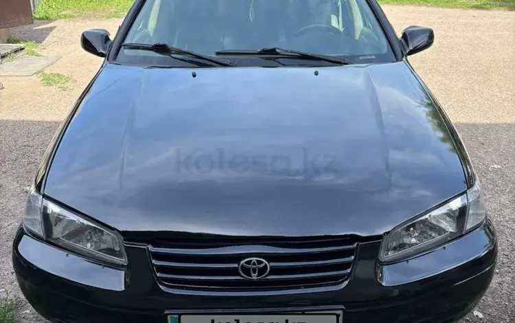 Toyota Camry 1998 года за 3 400 000 тг. в Алматы