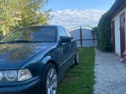 BMW 320 1994 года за 1 186 000 тг. в Павлодар – фото 4