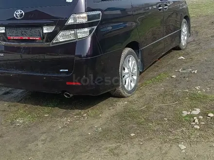 Toyota Vellfire 2009 года за 6 200 000 тг. в Усть-Каменогорск – фото 3