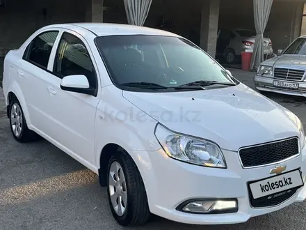 Chevrolet Nexia 2022 года за 5 250 000 тг. в Шымкент