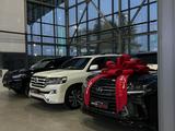 AUTO SALES в Алматы – фото 3