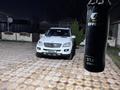 Mercedes-Benz ML 350 2008 года за 6 900 000 тг. в Тараз – фото 13