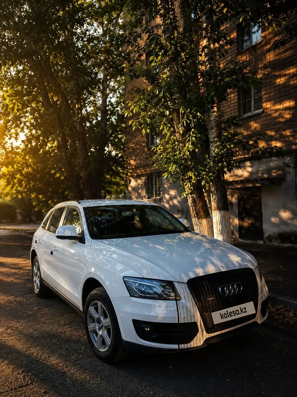 Audi Q5, 2010