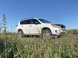 Toyota RAV4 2008 года за 8 000 000 тг. в Петропавловск – фото 4