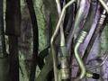 Трубки шланги кондиционераүшін10 000 тг. в Караганда – фото 5
