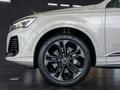 Audi Q7 55 TFSI 2024 года за 53 970 000 тг. в Алматы – фото 16