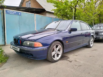 BMW 528 1996 годаүшін2 300 000 тг. в Алматы – фото 2