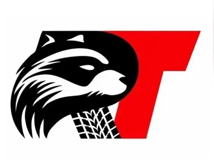 Raccoon Tyres в Алматы