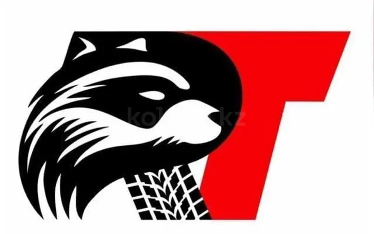 Raccoon Tyres в Алматы