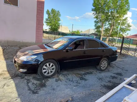 Toyota Camry 2003 года за 5 500 000 тг. в Усть-Каменогорск