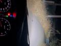 Toyota Land Cruiser Prado 2005 года за 12 000 000 тг. в Алматы – фото 34