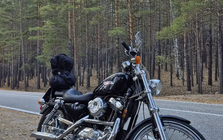 Harley-Davidson  Sportster 1200 1999 года за 3 000 000 тг. в Астана