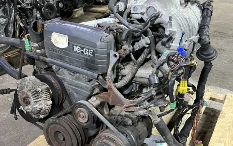 Контрактный двигатель Toyota 1G-GE 2.0 за 350 000 тг. в Шымкент