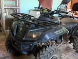 Tao Motor  250 X 2025 года за 800 000 тг. в Кокшетау