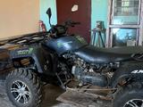 Tao Motor  250 X 2025 года за 800 000 тг. в Кокшетау – фото 3