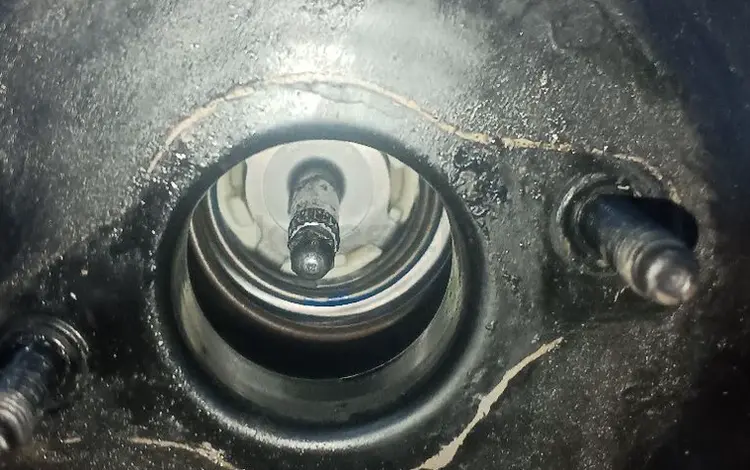 Вакум за 40 000 тг. в Алматы