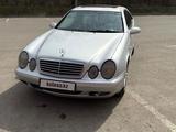 Mercedes-Benz CLK 230 2000 года за 3 500 000 тг. в Павлодар – фото 3