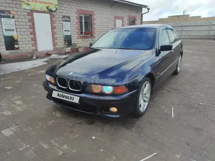 BMW 520 1997 года за 3 000 000 тг. в Шахтинск – фото 20