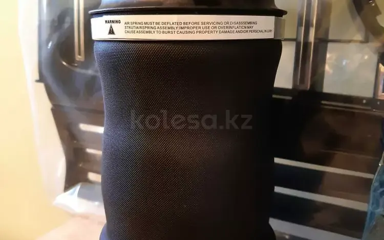 Пневмоподушка задние оригинале на W164, X164, X166 Mercedes, GL450, GL500 за 85 000 тг. в Астана