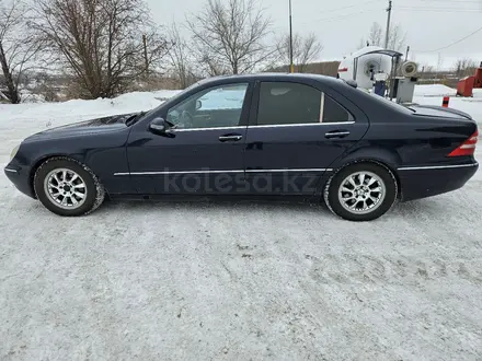 Mercedes-Benz S 320 2002 года за 3 600 000 тг. в Щучинск – фото 8