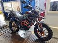  мотоцикл TEKKEN 300 R LINE PRO 2025 года за 1 155 000 тг. в Семей – фото 16