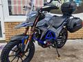  мотоцикл TEKKEN 300 R LINE PRO 2025 года за 1 155 000 тг. в Семей – фото 19