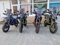  мотоцикл TEKKEN 300 R LINE PRO 2025 года за 1 155 000 тг. в Семей – фото 2