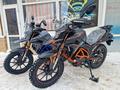  мотоцикл TEKKEN 300 R LINE PRO 2025 года за 1 155 000 тг. в Семей – фото 20