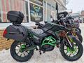  мотоцикл TEKKEN 300 R LINE PRO 2025 года за 1 155 000 тг. в Семей – фото 32