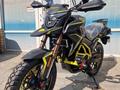  мотоцикл TEKKEN 300 R LINE PRO 2025 года за 1 155 000 тг. в Семей – фото 34