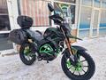  мотоцикл TEKKEN 300 R LINE PRO 2025 года за 1 155 000 тг. в Семей – фото 37