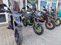  мотоцикл TEKKEN 300 R LINE PRO 2025 года за 1 155 000 тг. в Семей – фото 5