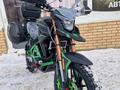  мотоцикл TEKKEN 300 R LINE PRO 2025 года за 1 155 000 тг. в Семей – фото 50