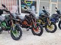  мотоцикл TEKKEN 300 R LINE PRO 2025 года за 1 155 000 тг. в Семей – фото 51