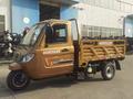 мотоцикл TEKKEN 300 R LINE PRO 2025 года за 1 155 000 тг. в Семей – фото 58