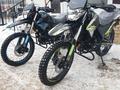  мотоцикл TEKKEN 300 R LINE PRO 2025 года за 1 155 000 тг. в Семей – фото 62