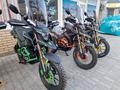  мотоцикл TEKKEN 300 R LINE PRO 2025 года за 1 155 000 тг. в Семей – фото 7