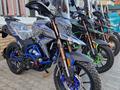  мотоцикл TEKKEN 300 R LINE PRO 2025 года за 1 155 000 тг. в Семей – фото 8