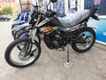  мотоцикл TEKKEN 300 R LINE PRO 2025 года за 1 155 000 тг. в Семей – фото 85