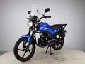  мотоцикл TEKKEN 300 R LINE PRO 2025 года за 1 155 000 тг. в Семей – фото 91