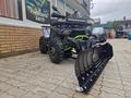  мотоцикл TEKKEN 300 R LINE PRO 2025 года за 1 155 000 тг. в Семей – фото 92